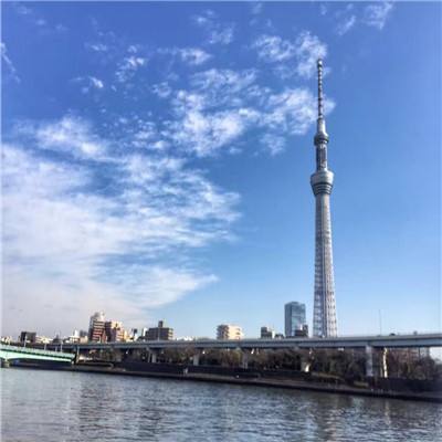 仙侠奇缘下载